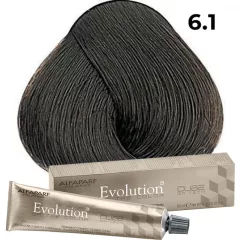 Alfaparf Evolution hajfesték  6.1