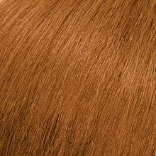 Matrix SoColor C 8C hajfesték 90 ml