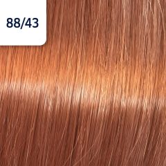 Wella Koleston  Perfect hajfesték 88/43