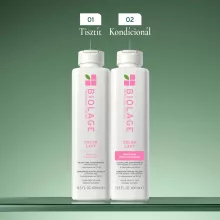 Matrix Biolage Color Last Sampon 400ml