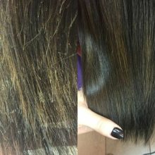 HG Polishen hajszöszödés eltávolító fésű