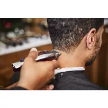 Wahl Detailer Cordless 8171