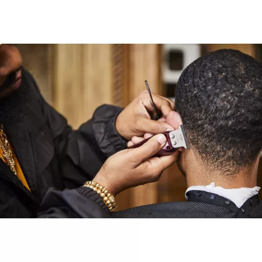 Wahl Detailer Cordless 8171