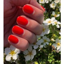 Gél Lakk - DN196 - Sex on the Beach - Zselé lakk