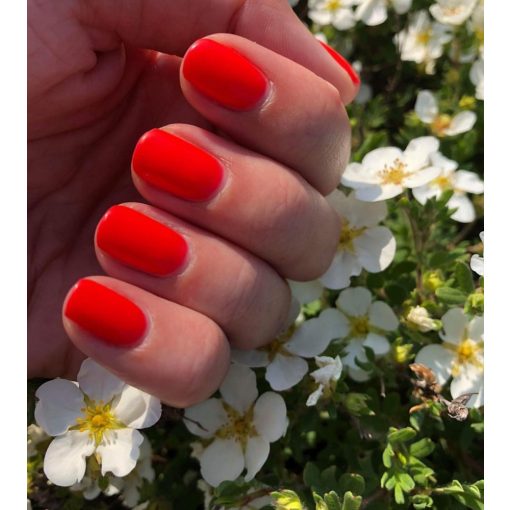 Gél Lakk - DN196 - Sex on the Beach - Zselé lakk