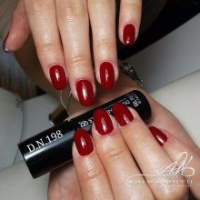 Gél Lakk - DN198 - Burgundy - Zselé lakk