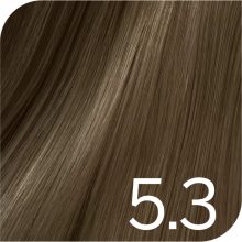 Revlon Young Color Excel hajszínező  5.3