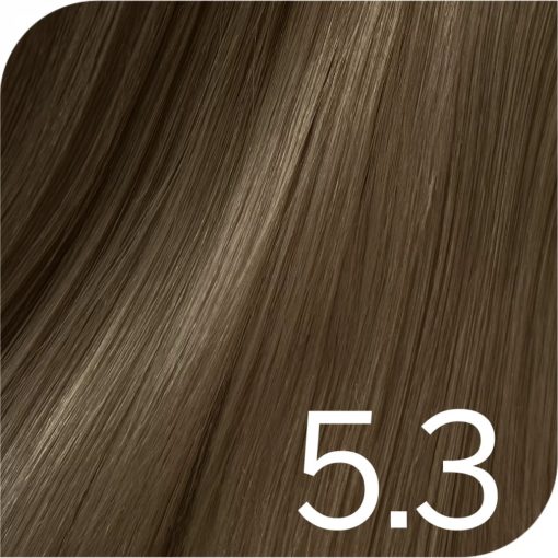 Revlon Young Color Excel hajszínező  5.3