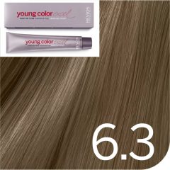 Revlon Young Color Excel hajszínező  6.3