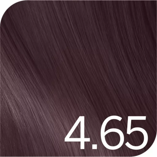 Revlon Young Color Excel hajszínező  4.65