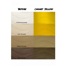 CRAZY COLOR Hajszínező krém Canary Yellow No.49 100 ml
