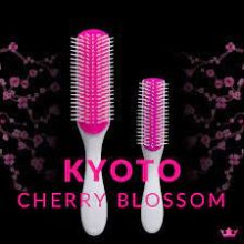 Denman D3 Hajkefe Kyoto