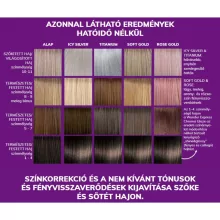 Fanola Wonder Express Chroma Glaze TITANIUM