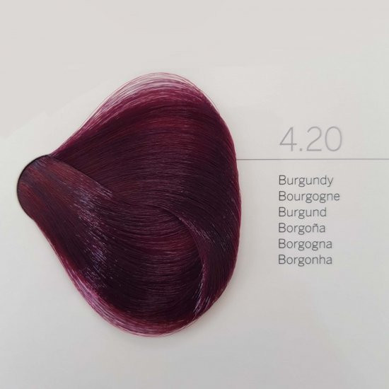 Revlon Young Color Excel hajszínező 4.20