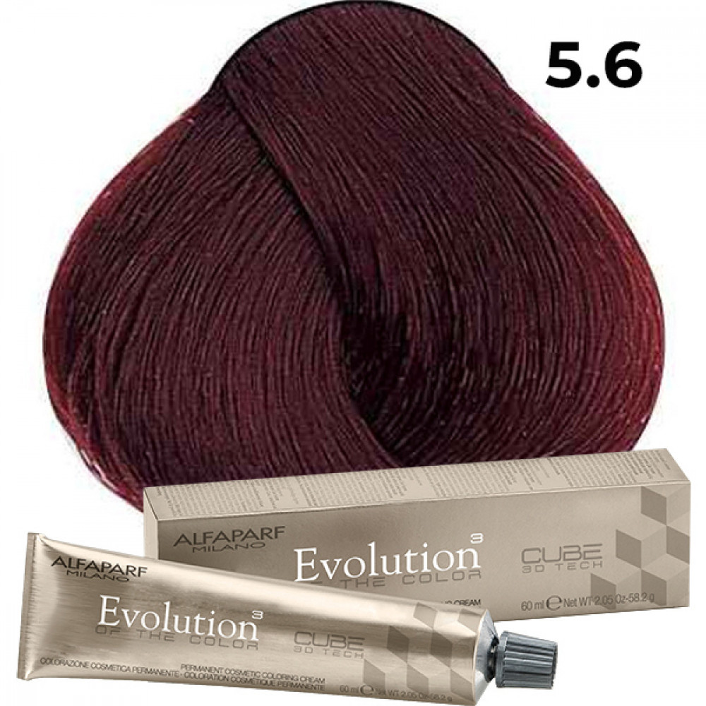 Alfaparf Evolution hajfesték 5.6